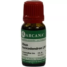 RHUS TOXICODENDRON LM 6 Dilution, 10 ml
