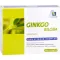 GINKGO 100 mg capsules+B1+C+E, 192 pcs