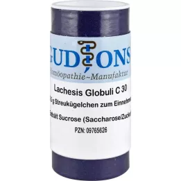 LACHESIS C 30 Gr.6 globules, 0.5 g