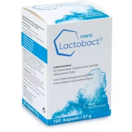LACTOBACT Forte gastric -resistant capsules, 120 pcs