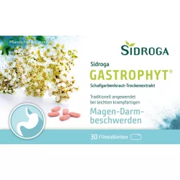 SIDROGA Gastrophyt 250 mg film -coated tablets, 30 pcs