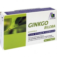 GINKGO 100 mg capsules+B1+C+E, 48 pcs