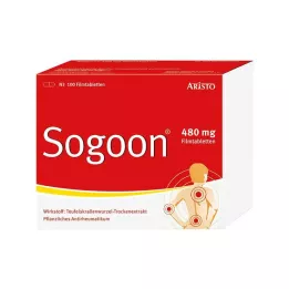 SOGOON 480 mg film -coated tablets, 100 st