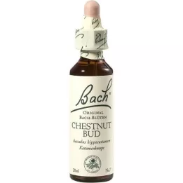 BACHBLÜTEN Chestnut Bud drops, 20 ml