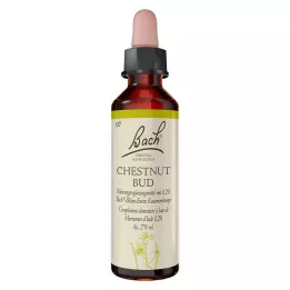 BACHBLÜTEN Chestnut Bud drops, 20 ml
