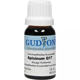 APISINUM Q 17 solution, 15 ml