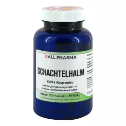 SCHACHTELHALM capsules, 120 pcs