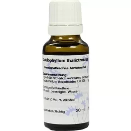CAULOPHYLLUM D 6 Dilution, 20 ml