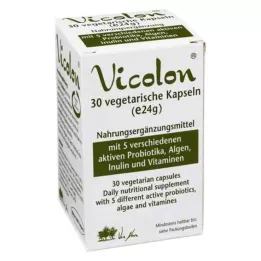 VICOLON capsules, 30 pcs