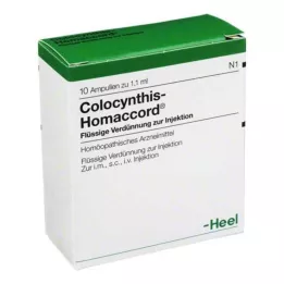 COLOCYNTHIS HOMACCORD ampoules, 10 pcs