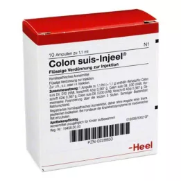 COLON SUIS Injeel ampoules, 10 pcs