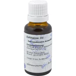 ECHINACEA D 2 Dilution, 20 ml