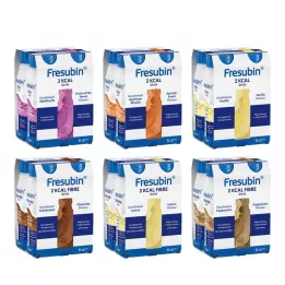 FRESUBIN 2 kcal DRINK Mixed box drinking bottle, 24X200 ml