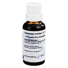 EQUISETUM D 1 Dilution, 20 ml