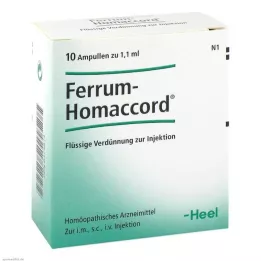 FERRUM HOMACCORD ampoules, 10 pcs