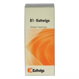 B1 KATTWIGA Tablets, 100 pcs