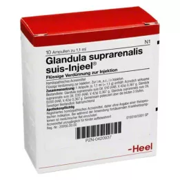 GLANDULA SUPRARENALIS Suis Injeel ampoules, 10 pcs