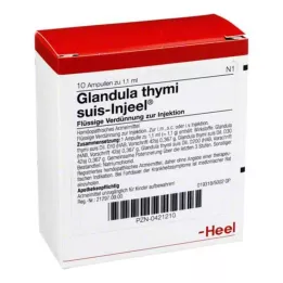 GLANDULA THYMI Suis Injeel ampoules, 10 pcs
