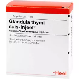 GLANDULA THYMI Suis Injeel ampoules, 100 pcs