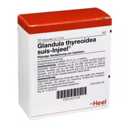 GLANDULA THYREOIDEA Suis Injeel ampoules, 10 pcs