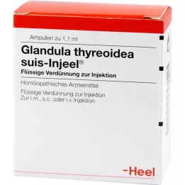 GLANDULA THYREOIDEA Suis Injeel ampoules, 100 pcs