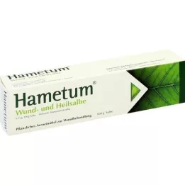 HAMETUM Wound and healing ointment, 100 g