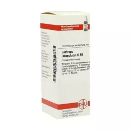 BOTHROPS lanceolatus D 60 Dilution, 20 ml