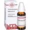 HYPERICUM D 15 Dilution, 20 ml
