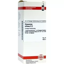 DIOSCOREA VILLOSA D 2 Dilution, 50 ml