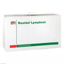 LYMPHSET Leg large, 1 P