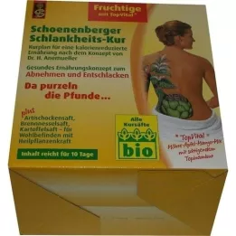 SCHLANKHEITSKUR Fruity Schoenenberger, 1 P
