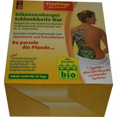 SCHLANKHEITSKUR Fruchtige Schoenenberger, 1 P