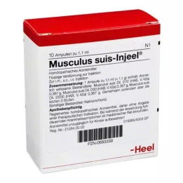 MUSCULUS SUIS Injeel ampoules, 10 pcs