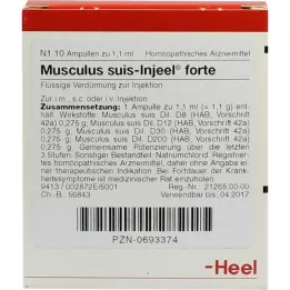MUSCULUS SUIS Injeel forte ampoules, 10 pcs