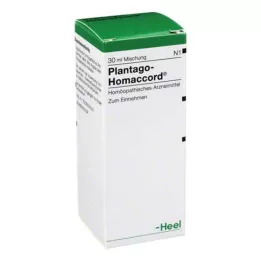 PLANTAGO HOMACCORD Drops, 30 ml