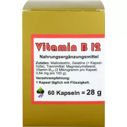 VITAMIN B12 KAPSELN, 60 St