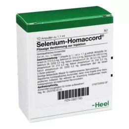 SELENIUM HOMACCORD ampoules, 10 pcs