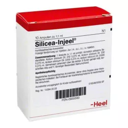 SILICEA INJEEL ampoules, 10 pcs