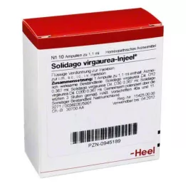 SOLIDAGO VIRGAUREA INJEEL ampoules, 10 pcs