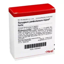 SYZYGIUM JAMBOLANUM INJEEL Forte ampoules, 10 pcs