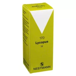 LYCOPUS H No.170 drops, 100 ml