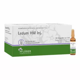 LEDUM HM Inject ampoules, 50 pcs