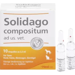 Solidago Compositum Ad US. Vet., 10 db