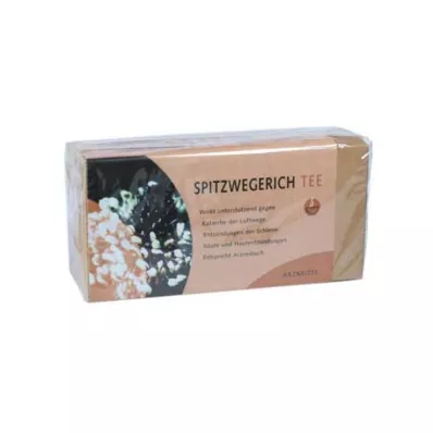 SPITZWEGERICHTEE Filter bag, 25 pcs