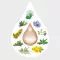 AMARA Drops Dilution, 50 ml