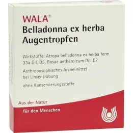 BELLADONNA EX HERBA eye drops, 5x0.5 ml