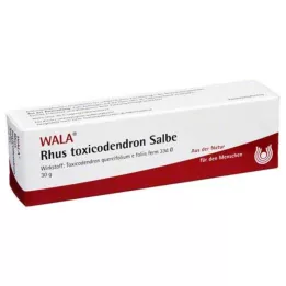 RHUS TOXICODENDRON OINTMENT, 30 g