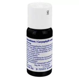 ABSINTHIUM/CARYOPHYLLI comp. mixture, 50 ml