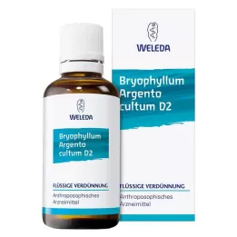 BRYOPHYLLUM ARGENTO cultum D 2 dilution, 50 ml
