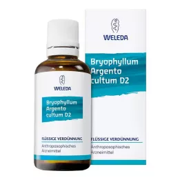 BRYOPHYLLUM ARGENTO cultum D 3 dilution, 50 ml